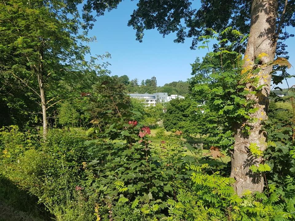 Hotel Am Kurpark Brilon Exterior photo